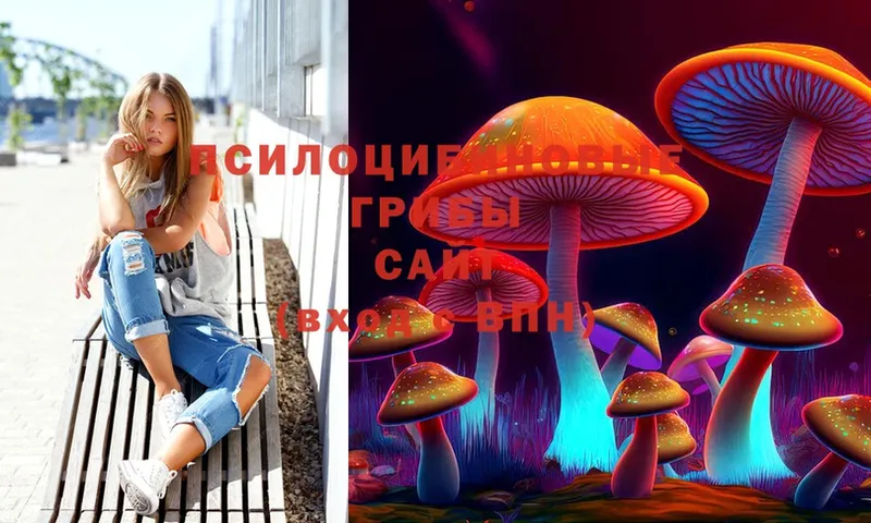 Галлюциногенные грибы Psilocybe  гидра ссылки  Верея 